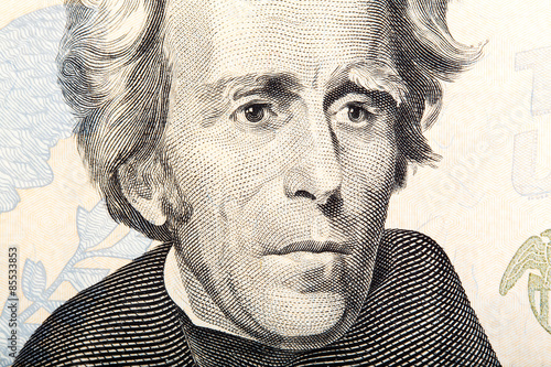 Fragment of twenty dollar bill - President Jackson on macro.