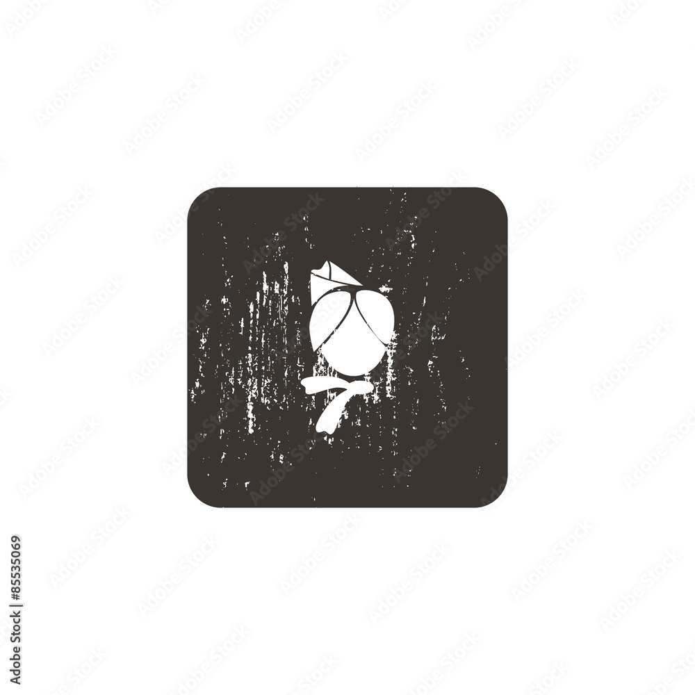 Stewardess icon Stewardess icon