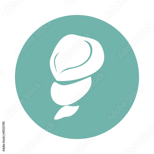 Shell icon