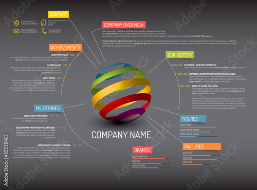 Company overview template
