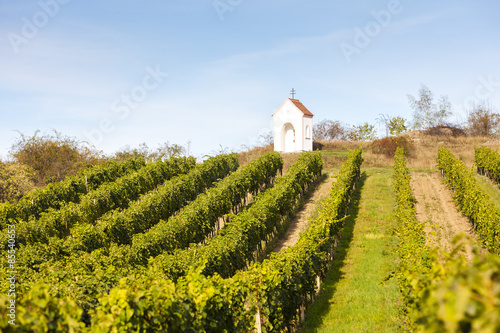 God s torture near Hnanice with vineyard  Southern Moravia  Cze