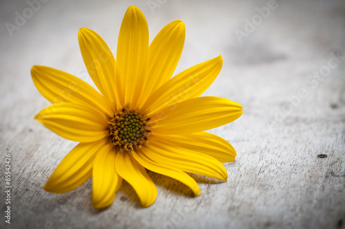 Yellow flower on wooden background