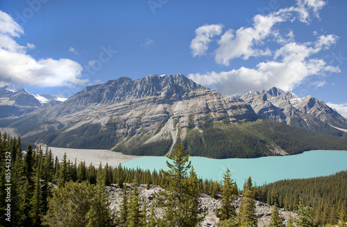 peyto lake banff national park