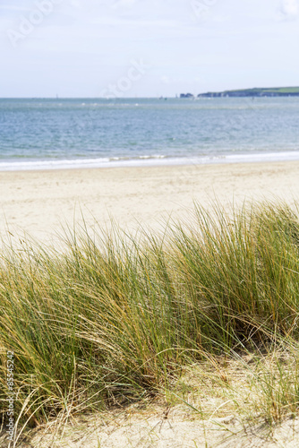 Fototapeta Naklejka Na Ścianę i Meble -  Sand dunes and grass beach landscape with deliberate shallow dep