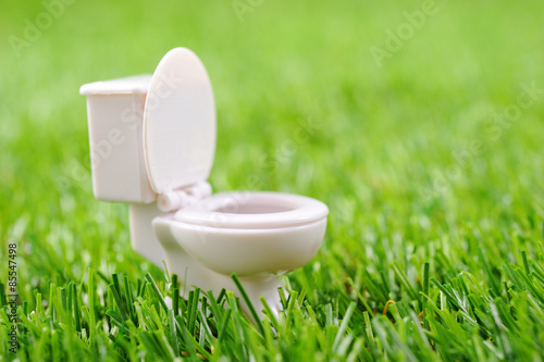 緑の芝生の上にある白い洋式トイレの便器 Stock 写真 Adobe Stock 緑の芝生の上にある白い洋式トイレの便器 Stock 写真 Adobe Stock