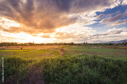 field meadow and beautiful sunset