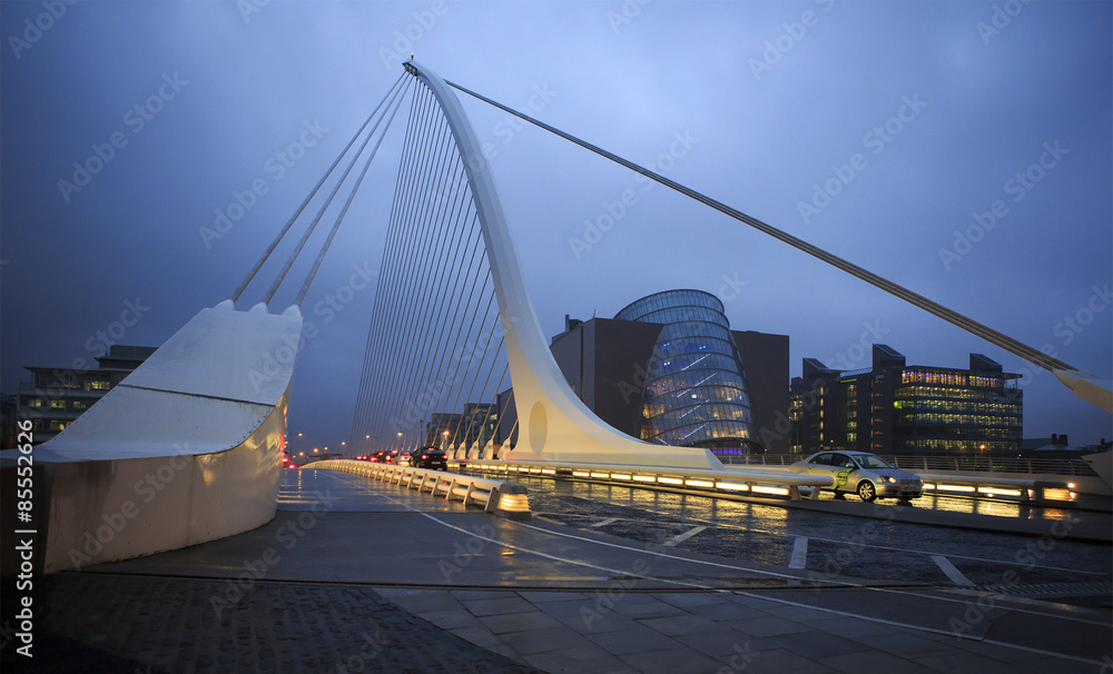 Obraz premium Most Samuela Becketta w Dublinie
