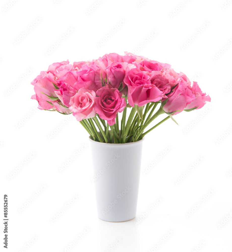 pink rose pink rose