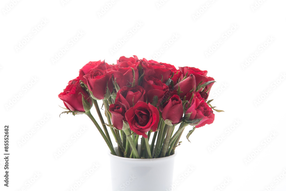 red rose red rose