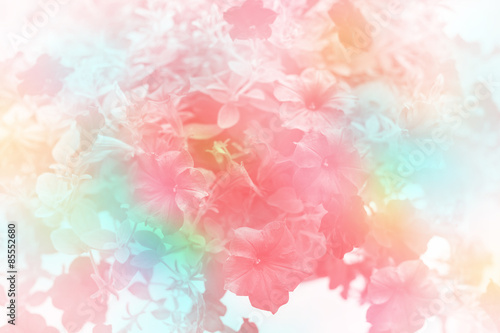 flower made by color filter for background