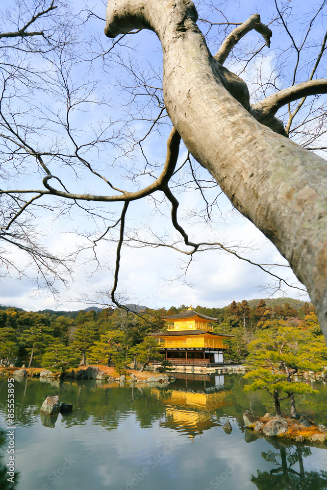 Obraz premium Kinkakuji Temple (The Golden Pavilion)