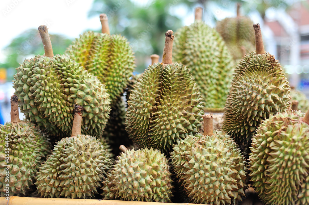An Durian nature fruit in southeast asia . An Durian nature fruit in southeast asia .