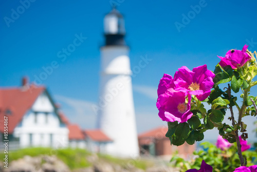 Wild Roses At Portland Head Lighthouse photo