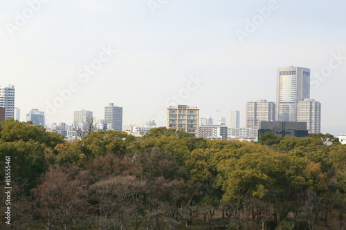 a wide view of osaka city © rufous