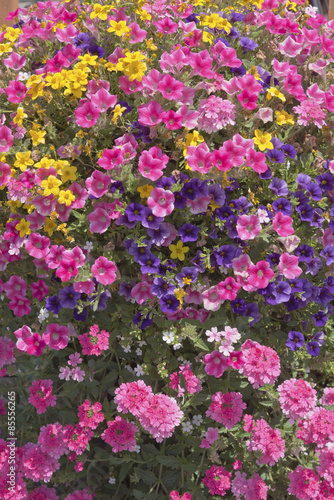 Wallpaper Mural Farm and garden nursery in Canby Oregon. Torontodigital.ca