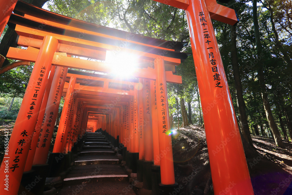 Obraz premium Fushimi Inari Taisha Shrine in Kyoto, Japan