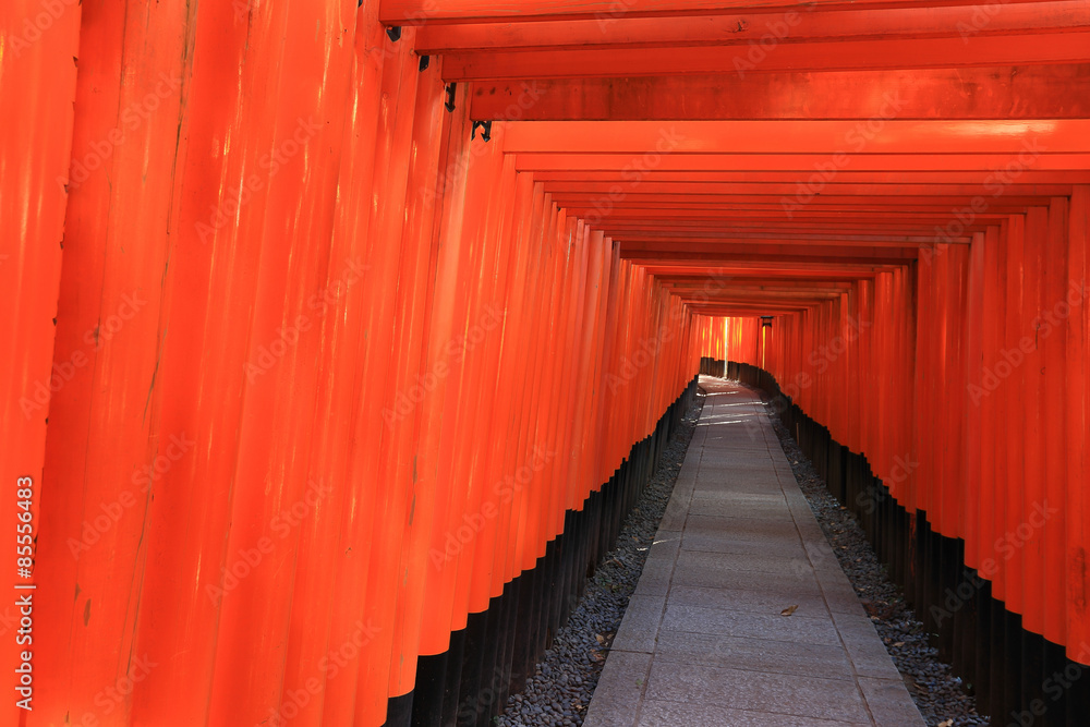 Fushimi Inari Taisha Shrine in Kyoto, Japan Fushimi Inari Taisha Shrine in Kyoto, Japan