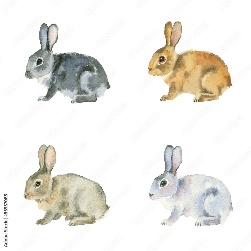 Fototapeta premium Watercolor painting. Black, red, white and brown rabbits