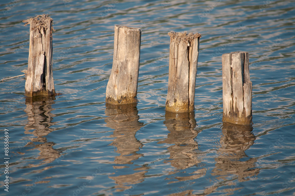 Old pier poles in Castel Gandolfo Lake Old pier poles in Castel Gandolfo Lake