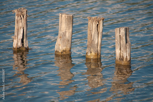 Old pier poles in Castel Gandolfo Lake © EyeMFlatBoard