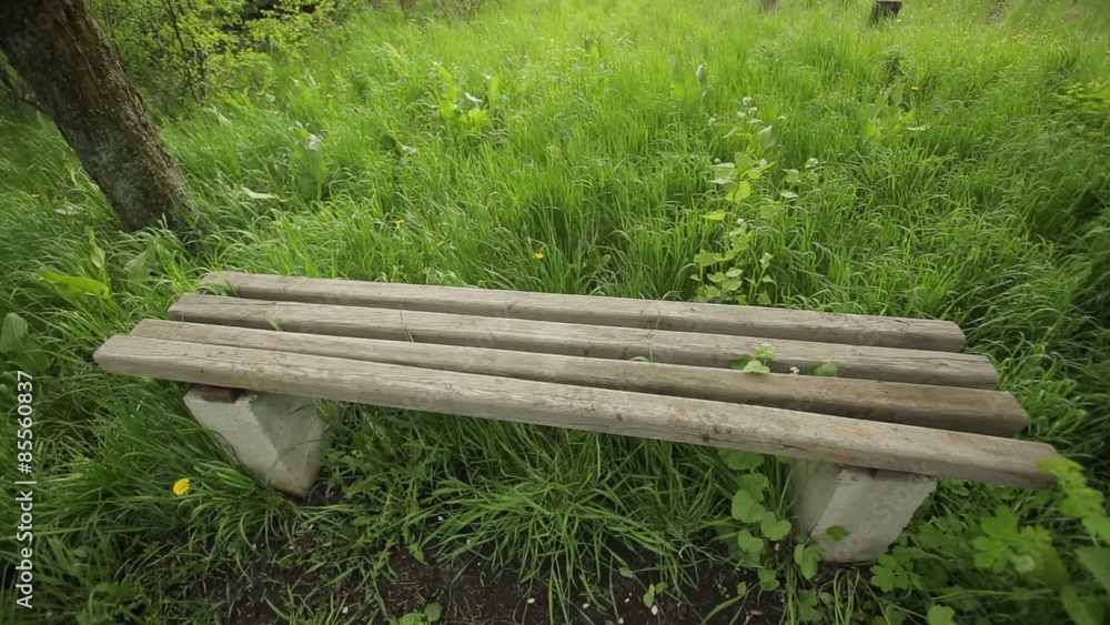 Empty Bench in an Abandoned Park 1 Empty Bench in an Abandoned Park 1