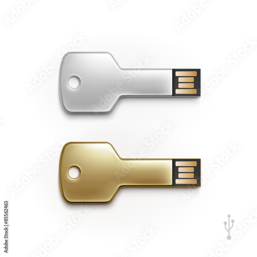 USB Key Flash Drive Stick Memory Vector Isolated