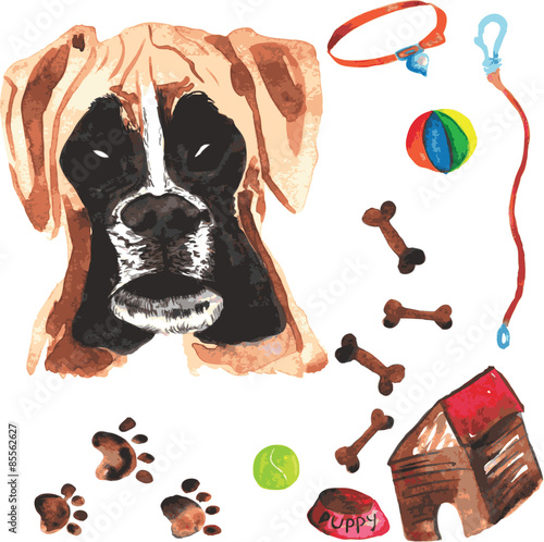 Veterinary kit comprising boxer and accessories for dogs, waterc