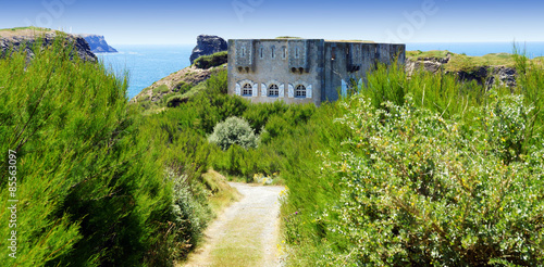 Obraz na plátne Fort de la Pointe des Poulains / Sarah Bernhardt