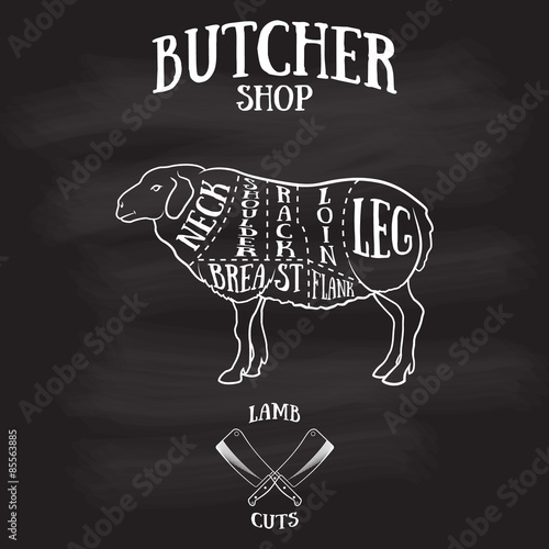 Butcher cuts scheme of lamb or mutton