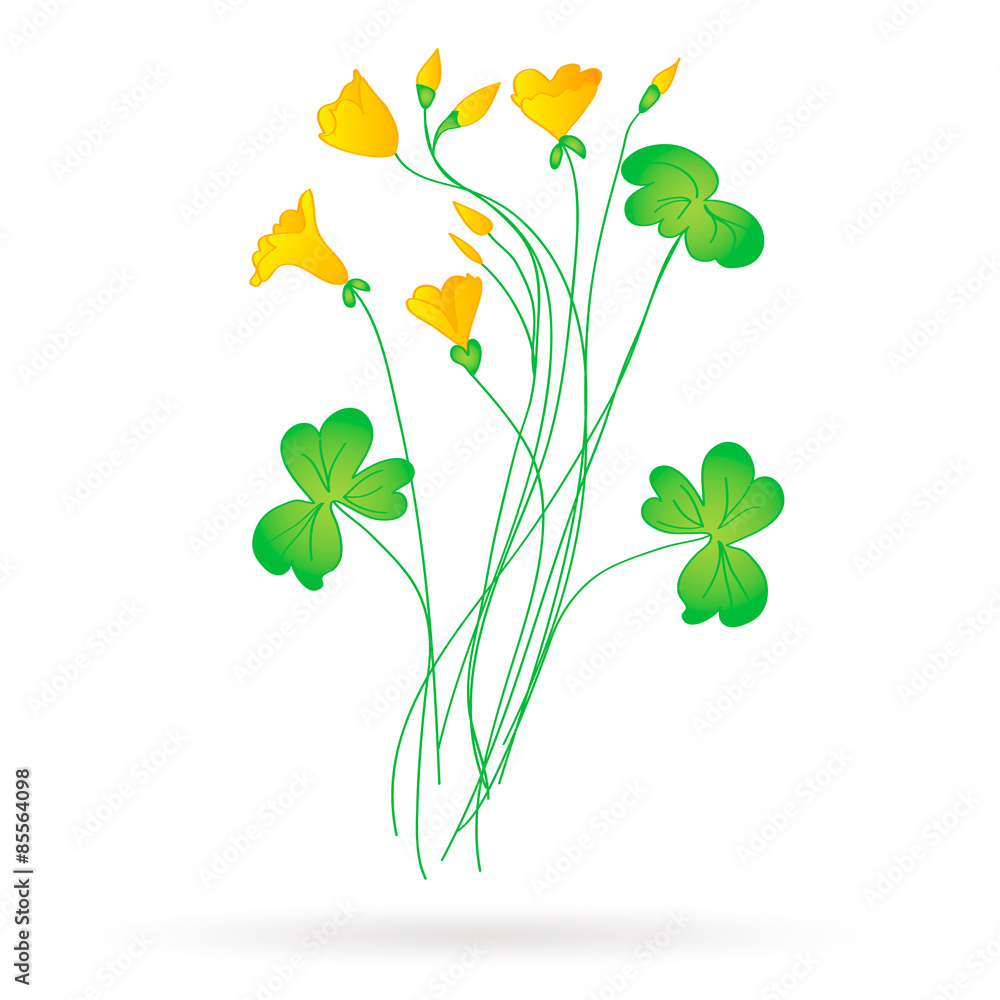 Oxalis acetosella.yellow flowers. Oxalis acetosella.yellow flowers.