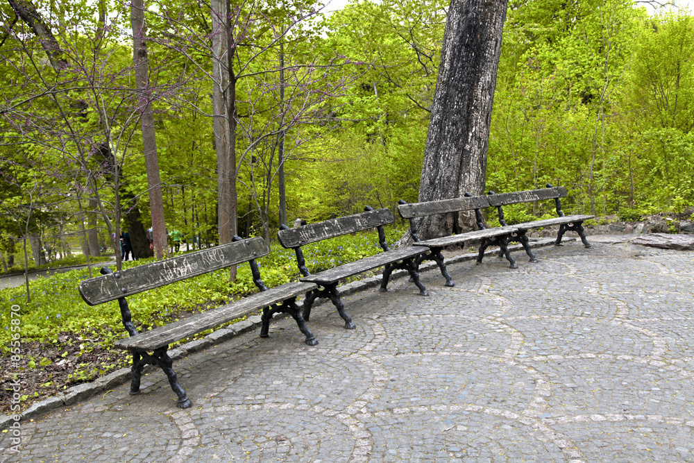 Wooden bench in the park Sophia. Uman, Ukraine Wooden bench in the park Sophia. Uman, Ukraine