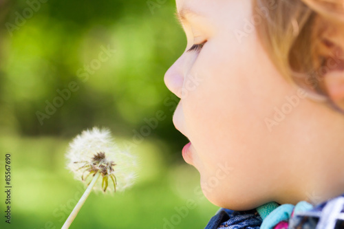 Caucasian blond baby girl and dandelion flowe