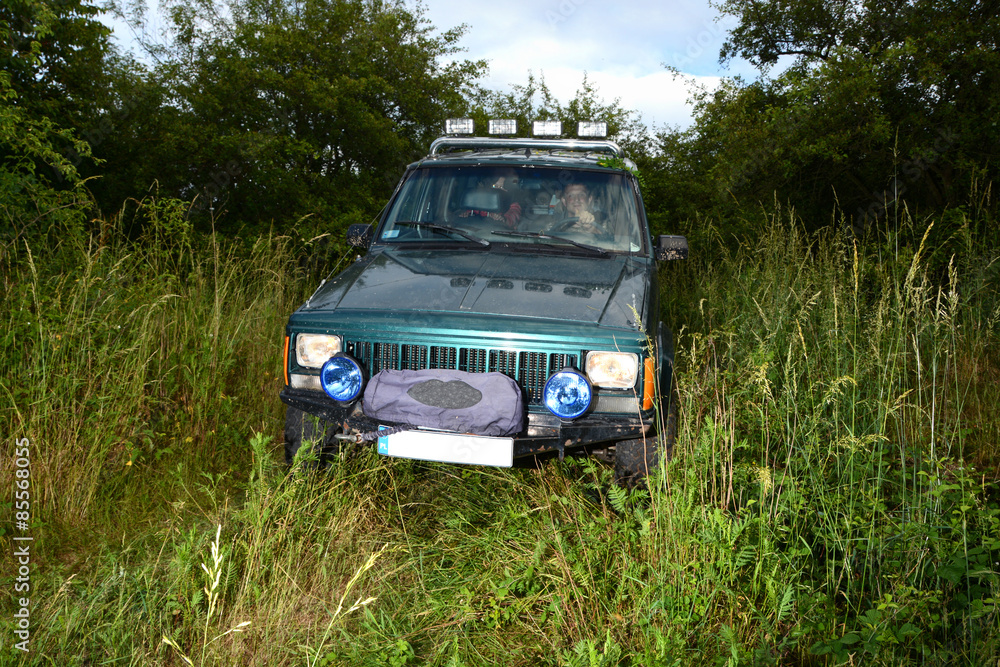 4x4 offroad truck on meadow