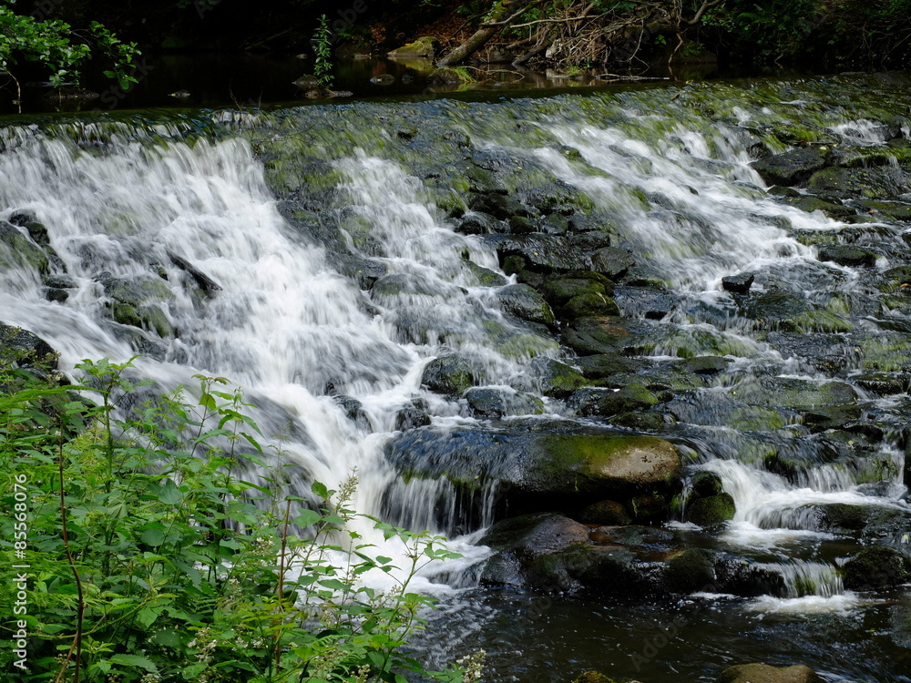 Naklejka premium Vallée des Rouets à Thiers (63)