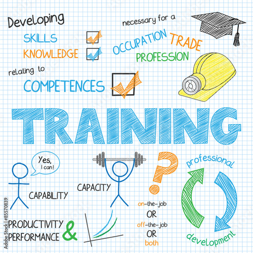 TRAINING VECTOR SKETCH NOTES
