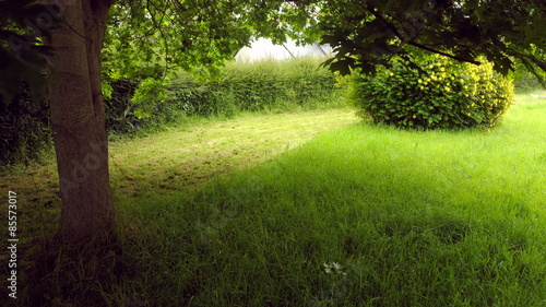 Lawn mowing in timelapse - 4k - nice garden, yard being cleaned up, with a oak and a St John‘s wort