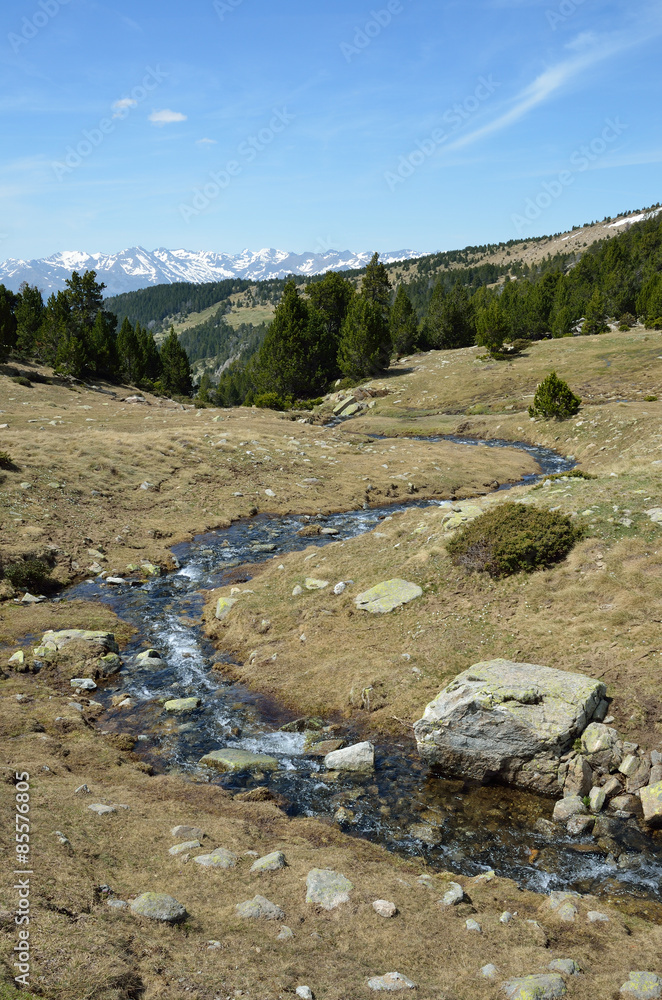 Spring in the Madriu-Perafita-Claror valley