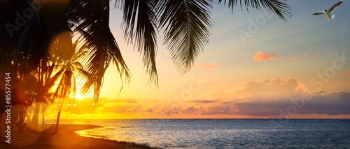 Art Beautiful sunrise over the tropical beach #85577454