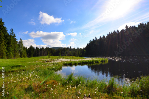 Fichtelsee See Bayern photo