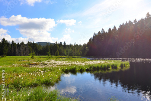 Fichtelsee See Bayern photo