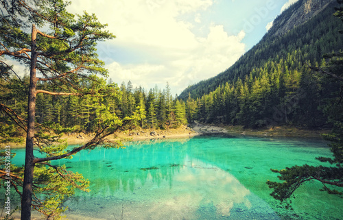 Принти на полотні green lake in styria tragoess