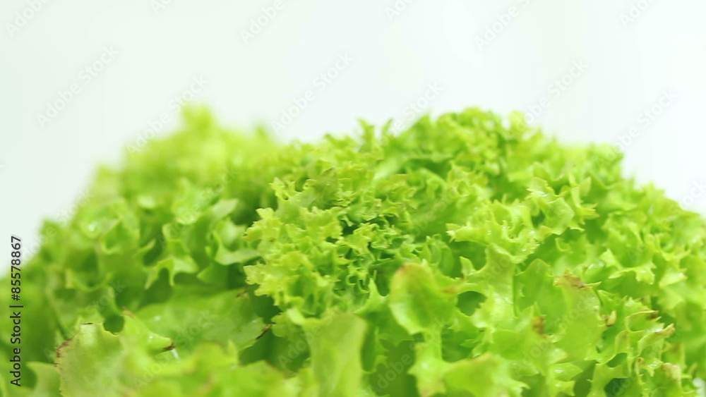 Fresh green lettuce turning slowly on white background in a seamless loop Fresh green lettuce turning slowly on white background in a seamless loop