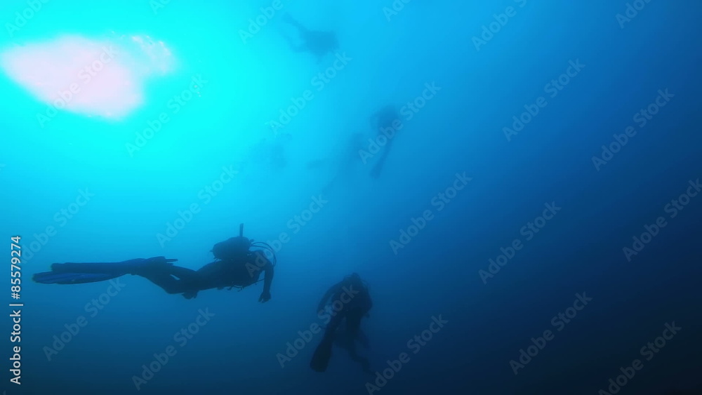 Group of Scuba Divers Ascending Group of Scuba Divers Ascending
