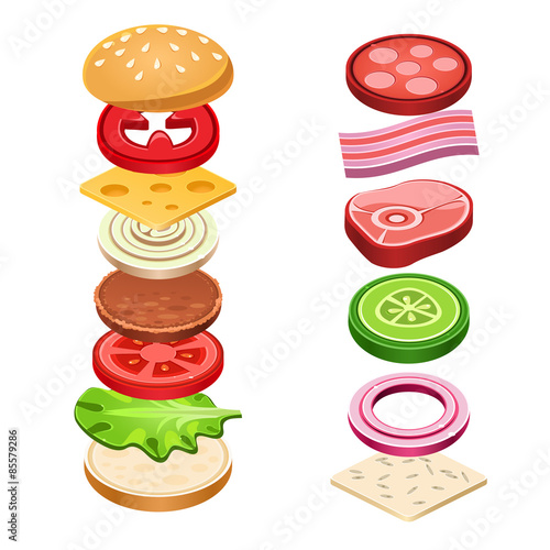 Sandwich Ingredients Food Vector Illustration