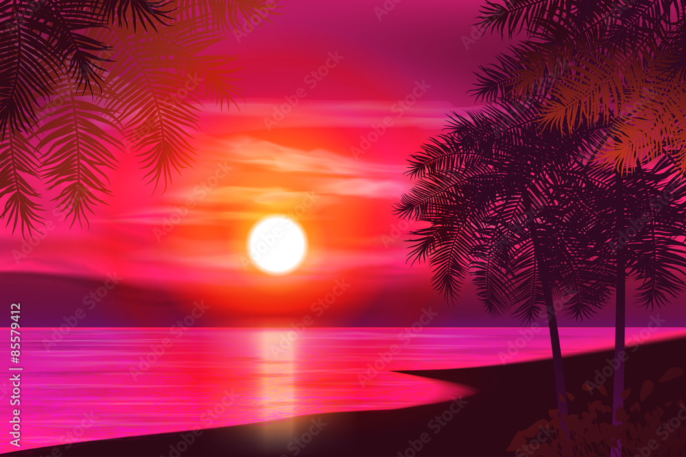 Summer night. Palm trees on the background of sunset. Vector