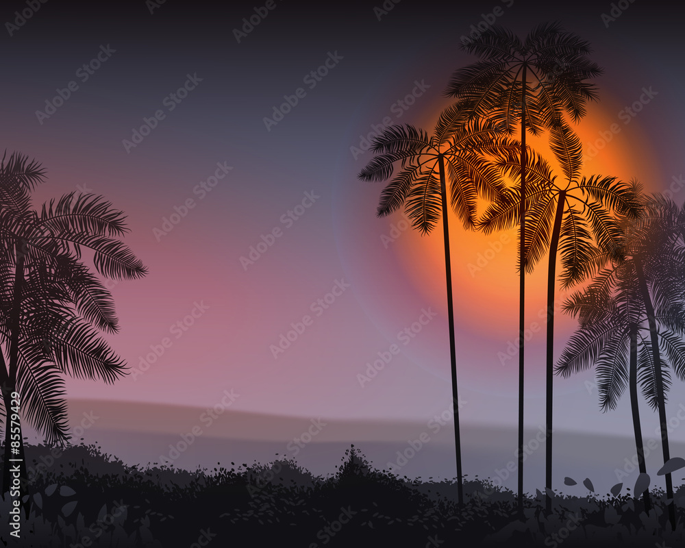 Summer Night. Palm trees in the night. Vector illustration