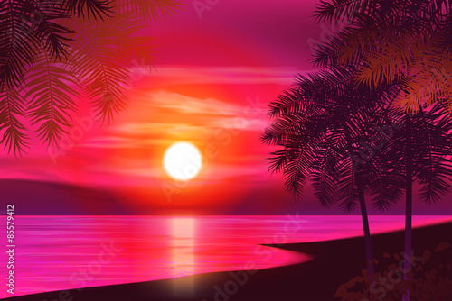 Fototapeta Naklejka Na Ścianę i Meble -  Summer night. Palm trees on the background of sunset. Vector