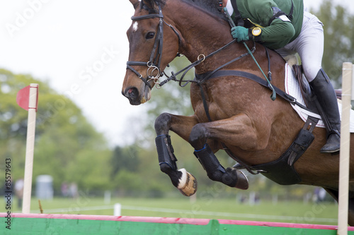 Horse jumping at an event