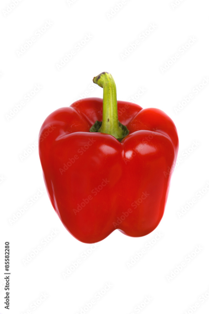 Red pepper stand on a white background Red pepper stand on a white background
