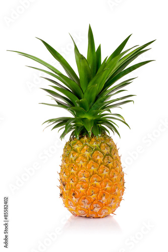 Pineapple isolated